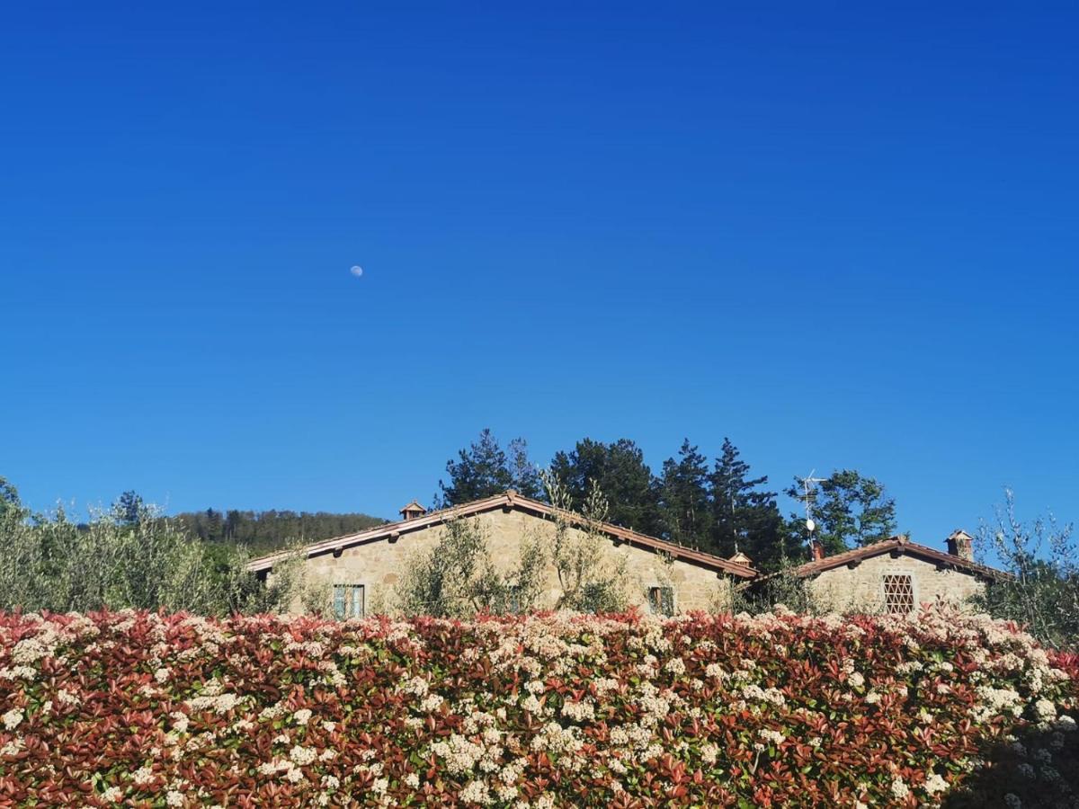 Il Cerro Pensionat Pelago Exteriör bild